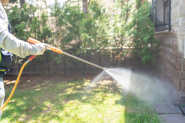 Reliable Fairview, GA Pest Control Solutions